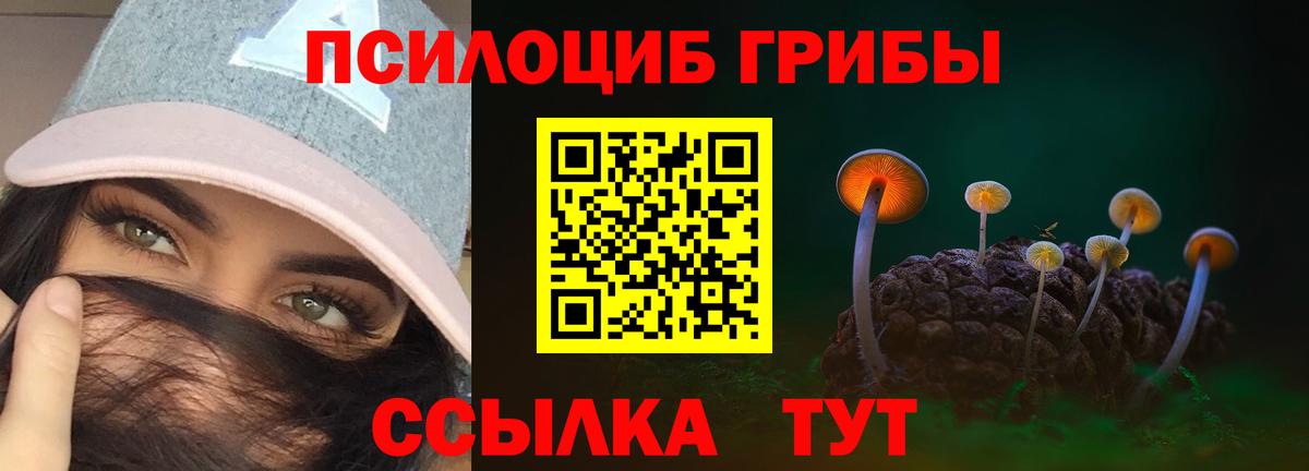 Псилоцибиновые грибы мицелий  Вход с VPN  где купить наркоту  Тимашёвск 